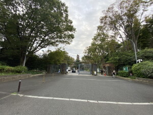 MDM池尻大橋Ⅱ201の室内4