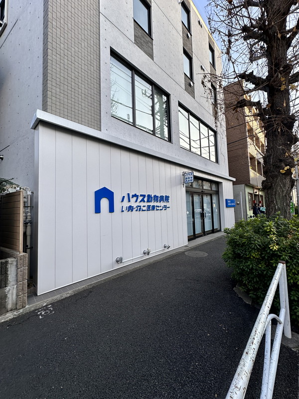 シャンピアグランデ深沢317の室内10