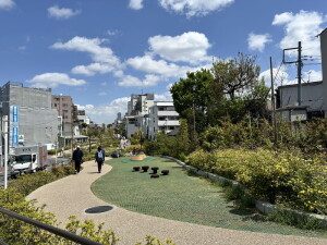 コンフォリア下北沢1005の室内13