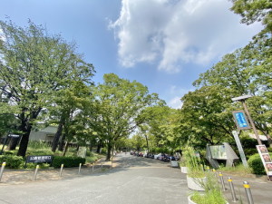 アシステンツァ駒沢公園204の室内7