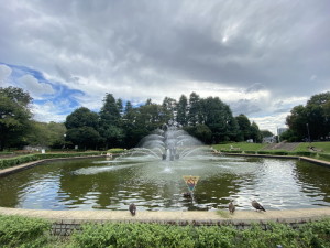 クラッシィハウス世田谷公園602の室内5
