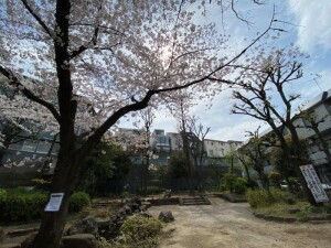 東山サンハイツ101の室内8