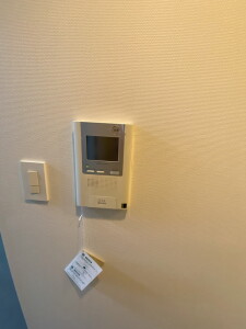パークフラッツ中目黒305の室内12