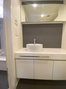 パークフラッツ中目黒305の室内6