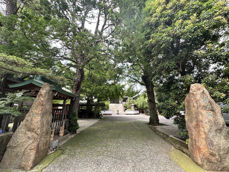 ルミークアン桜新町ノース403の室内12