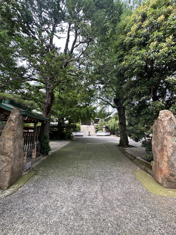 ルミークアン桜新町ノース403の室内16