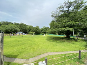 MFPRコート代官山412の室内9