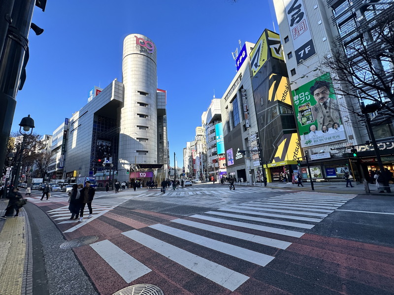 メゾンビスタ渋谷宇田川303の室内5