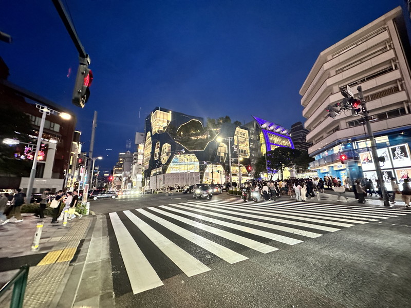 メゾンビスタ渋谷宇田川303の室内11