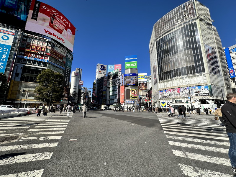 メゾンビスタ渋谷宇田川303の室内7