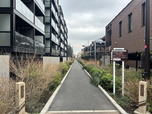 アヴニール三軒茶屋205の室内10