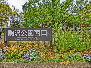 アヴニール三軒茶屋205の室内8