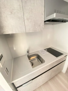 デュオステージ下北沢302の室内5