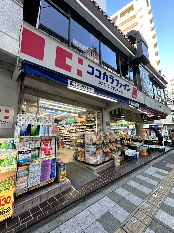 LEGALAND駒沢大学ANNEX（リーガランド駒沢大学アネックス）203の室内39