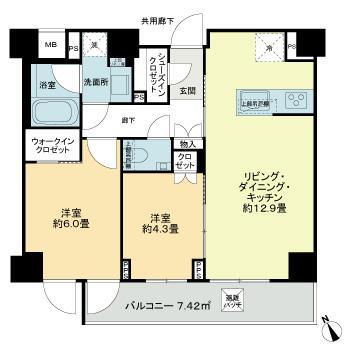 ディアナコート三軒茶屋203の間取り