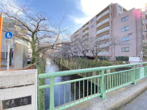 コンフォリア目黒青葉台335の室内11