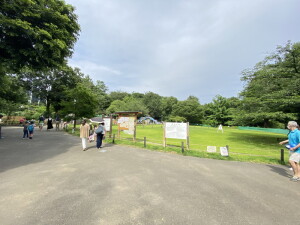 アジールコート池尻大橋211の室内15