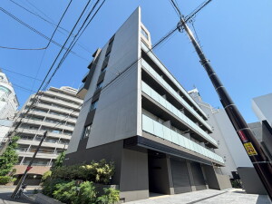 ラ・カーサ広尾503の室内16