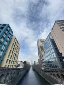 Grace Court Meguro(グレイスコート目黒)202の室内12