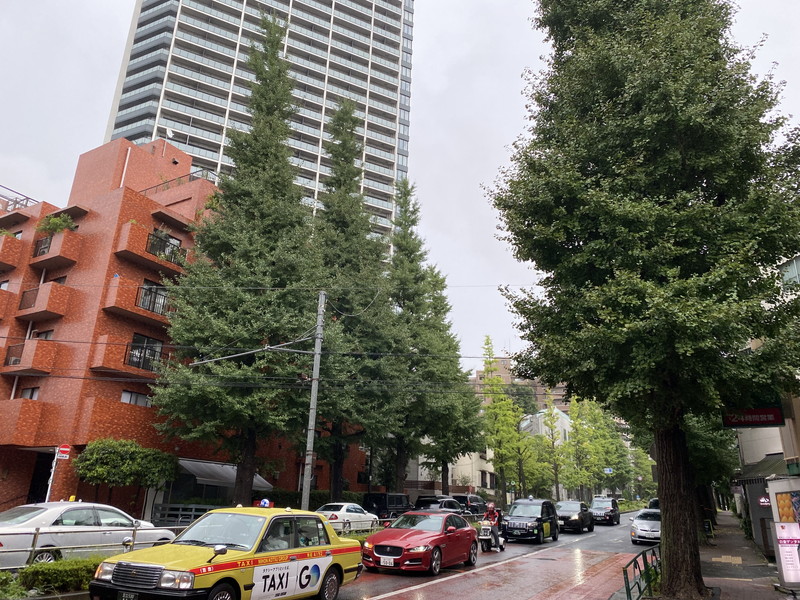 315白金台502の室内17