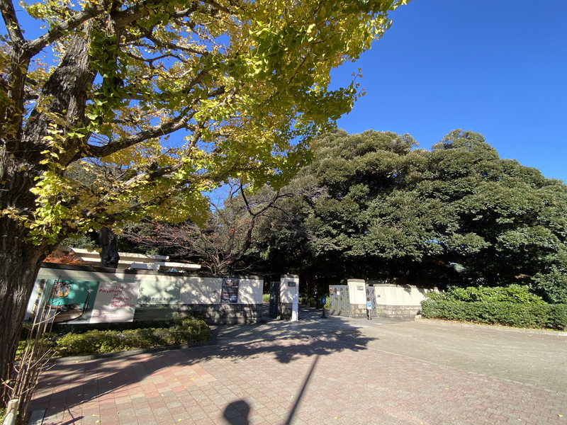 315白金台502の室内18