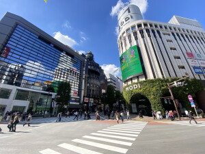 カームテラス神泉902の室内11