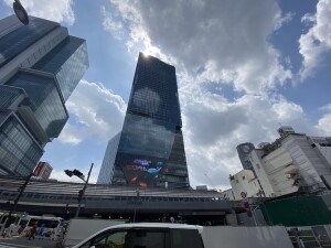 カームテラス神泉902の室内12