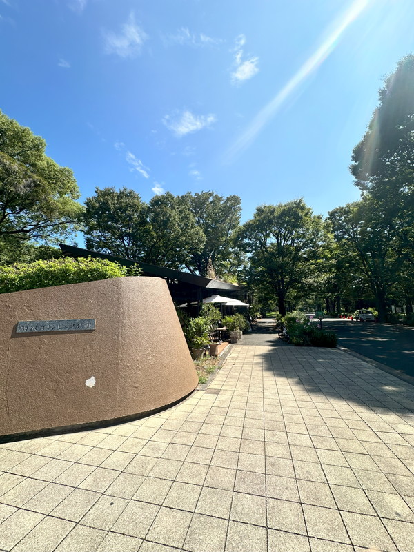 リテラス三軒茶屋サウス601の室内17