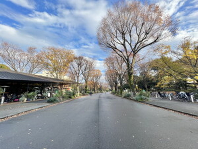 エピ駒沢203の室内12