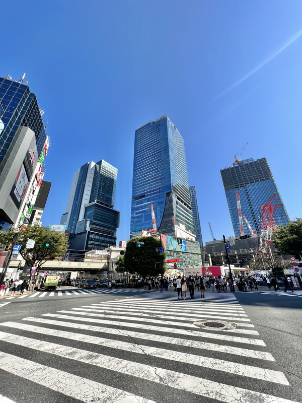 ザ・パークハウスアーバンス渋谷1205の室内7