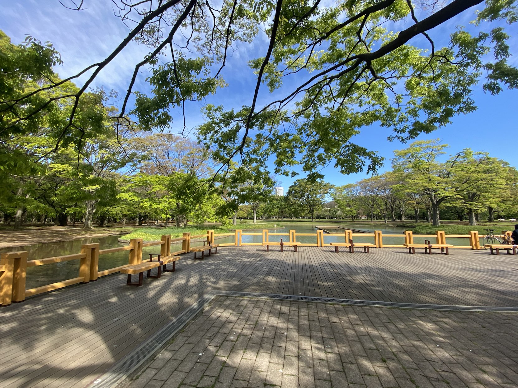 プレール代々木公園105の室内12