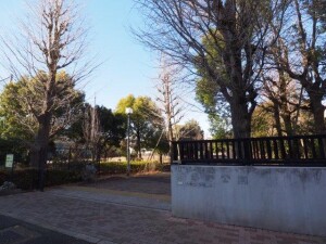 イプセ目黒駒場205の室内8