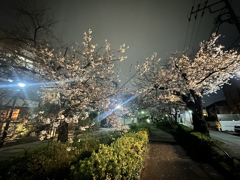 サンハイツ201の室内2