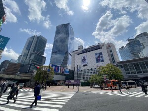 道玄坂２丁目マンション（物件名非掲載）号室非公開の室内10