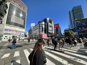 パークアクシス渋谷桜丘サウス802の室内9