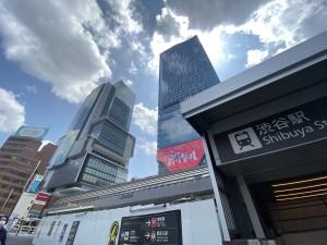 パークアクシス渋谷桜丘サウス802の室内10
