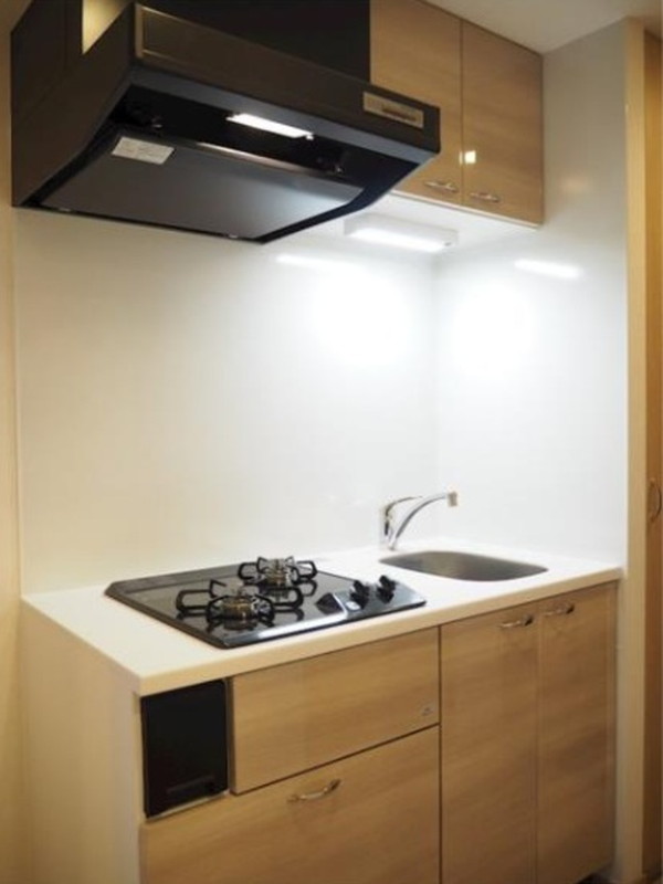 ルーブル三軒茶屋伍番館101の室内5