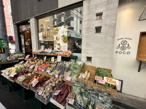 ルネサンスコート世田谷若林105の室内17