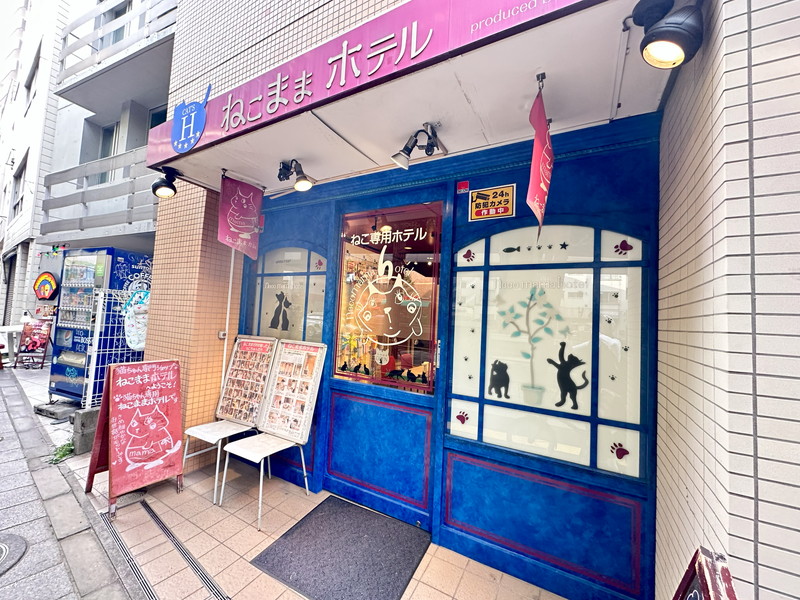 コンフォリア三宿803の室内2
