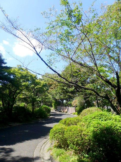 パークハウス池田山公園ー白金台の杜ーE515の室内10