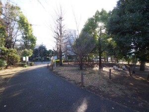 AXAS駒場東大前(アクサス駒場東大前)101の室内11