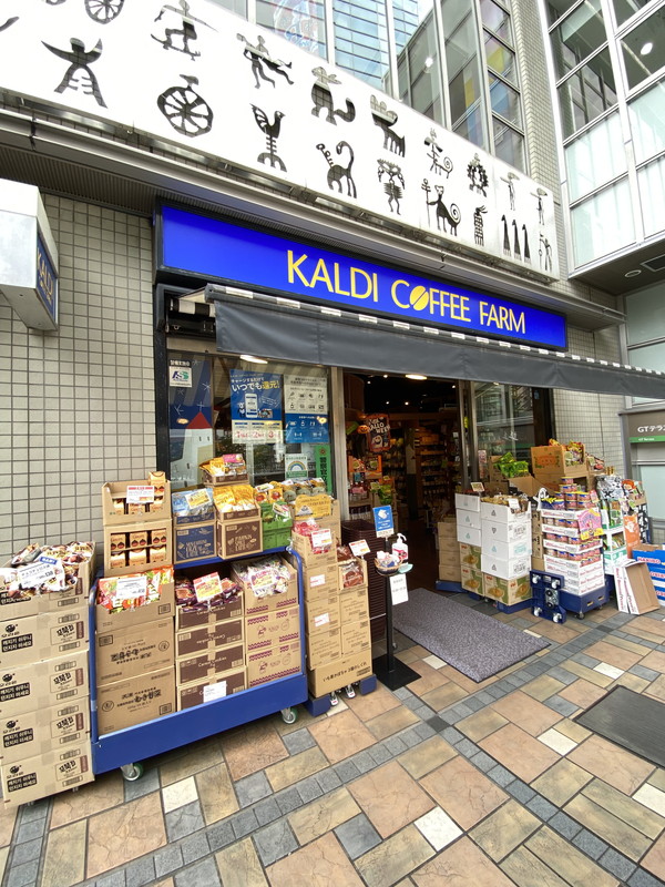 シティカレント代官山204の室内18