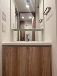 イプセ三軒茶屋405の室内8