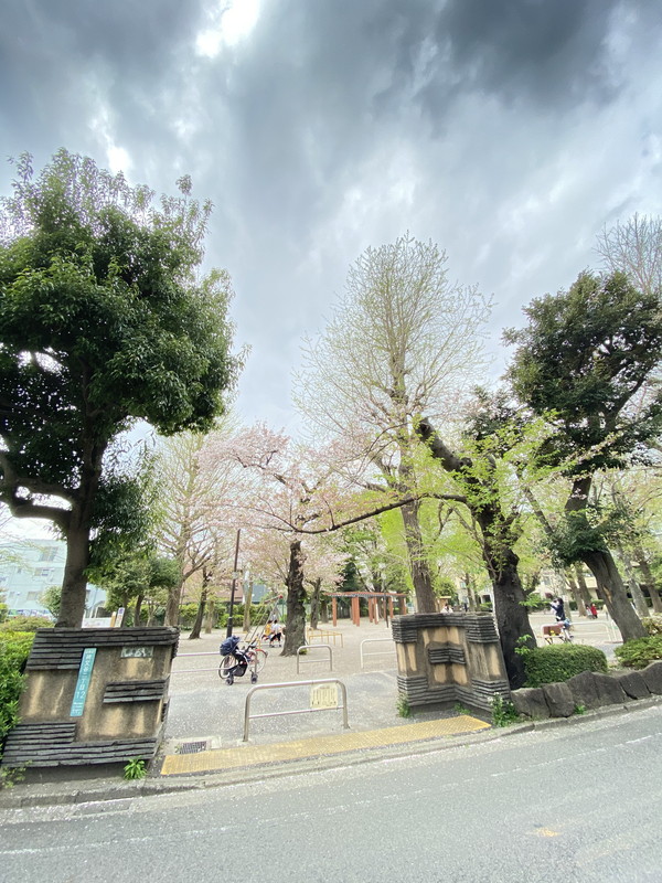 ソアラノーム碑文谷115の室内5