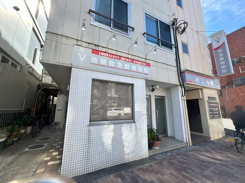 ソアラノーム碑文谷115の室内15