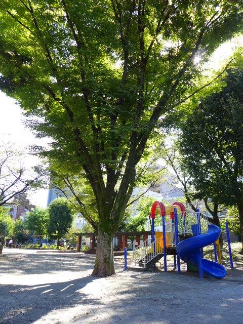 ACOLT代々木公園(アコルト)304の室内1