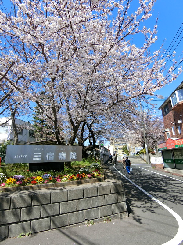 セザール目黒東山201の室内10