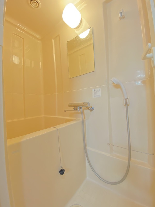 レイクヒルズ507の室内11