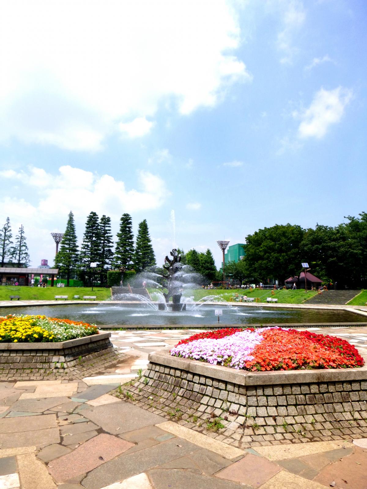 ウェステリア世田谷公園103の室内10