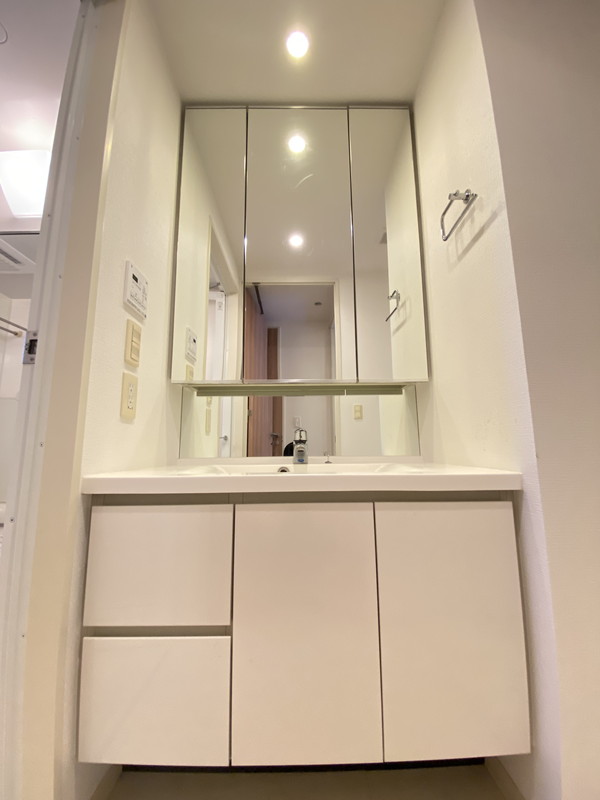 Brillia ist三軒茶屋アイビーテラス308の室内10